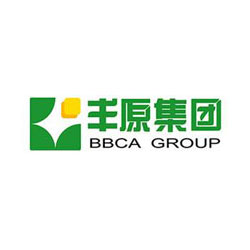 BBCA Group