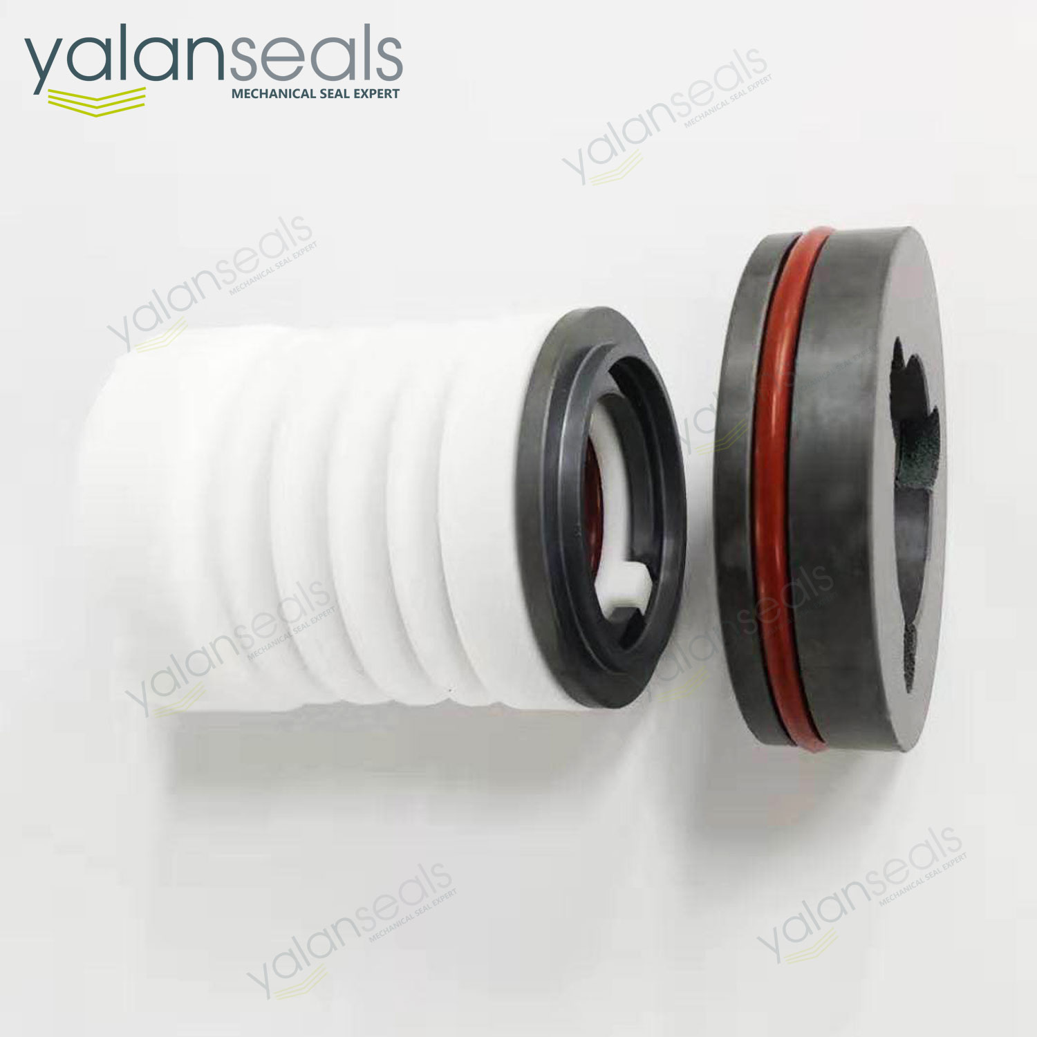 SD-25 Single Spring PTFE Bellow Mechanical Seal for Acid Pumps